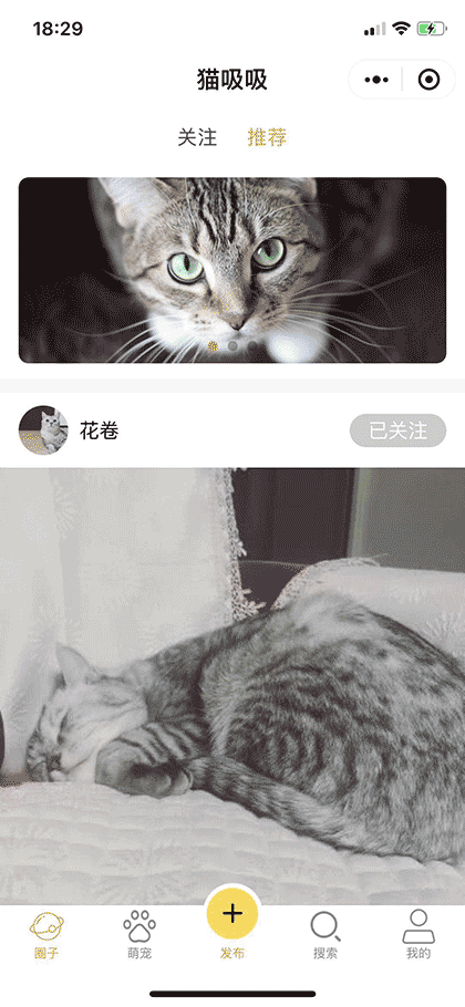 猫吸吸截图1