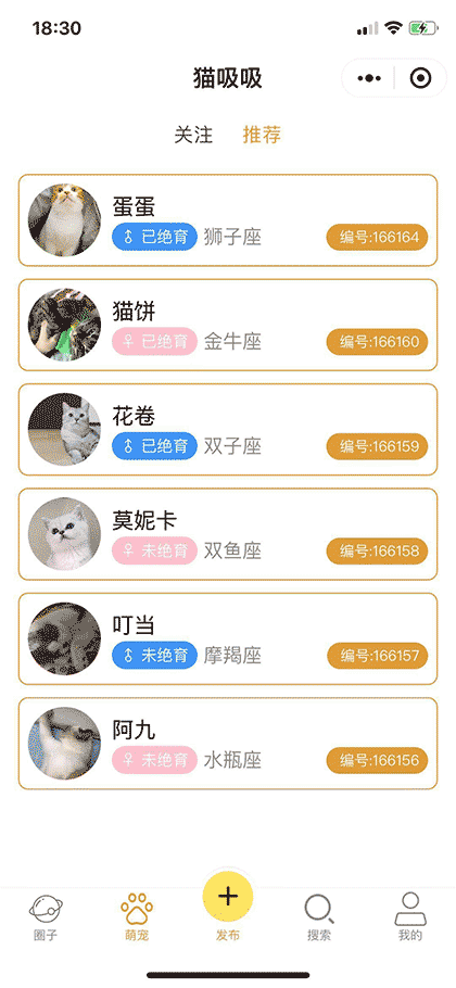 猫吸吸截图2