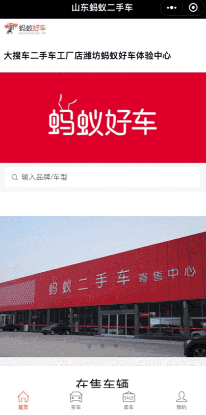 蚂蚁好车截图1