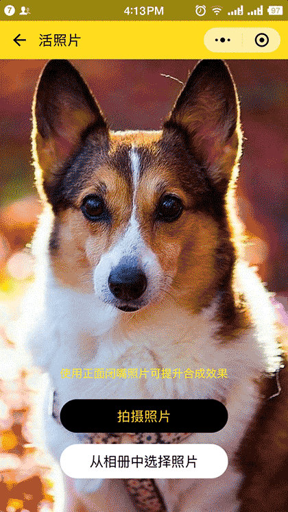 萌宠变戏精截图2