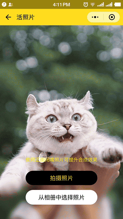 萌宠变戏精截图3