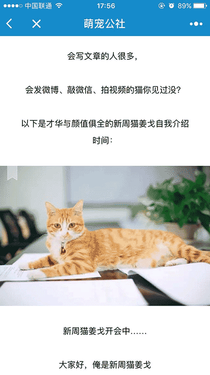 萌宠公社截图1