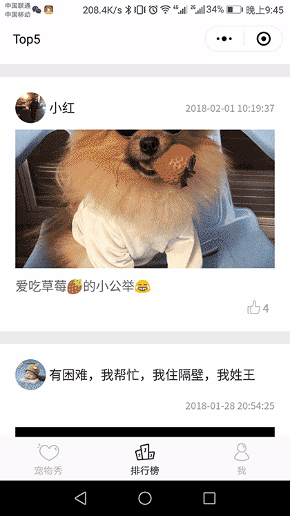 萌宠秀一秀截图2