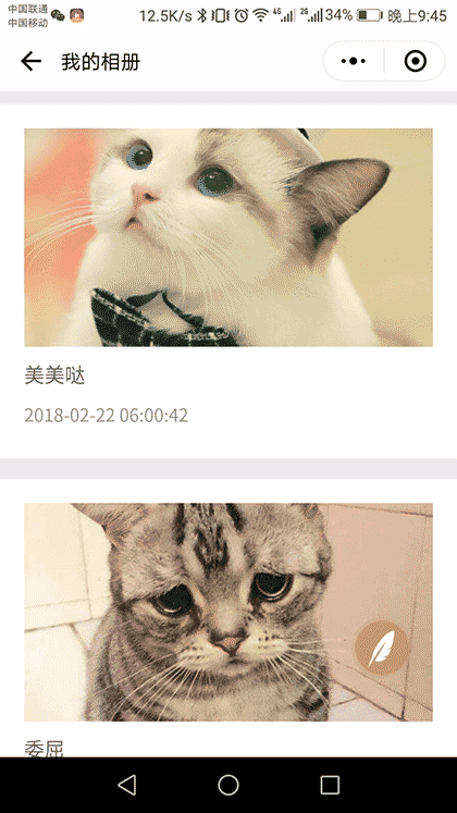 萌宠秀一秀截图3