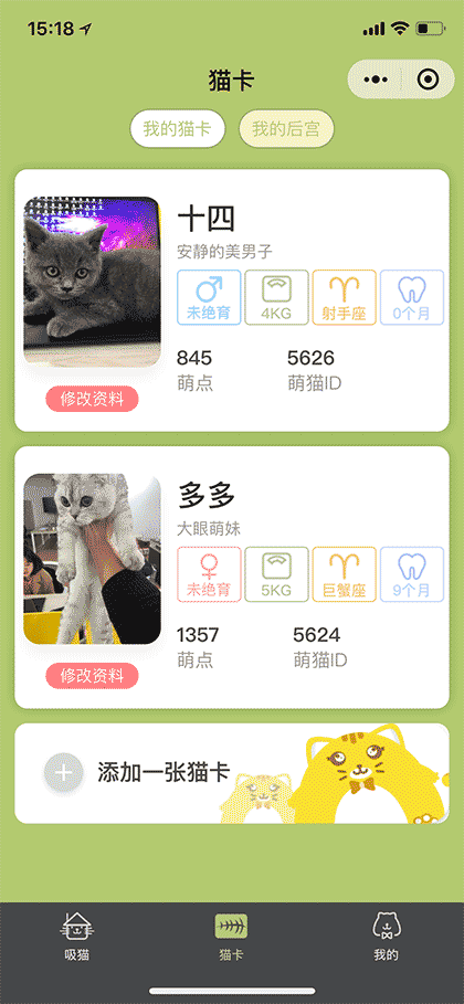 萌猫占领世界截图1