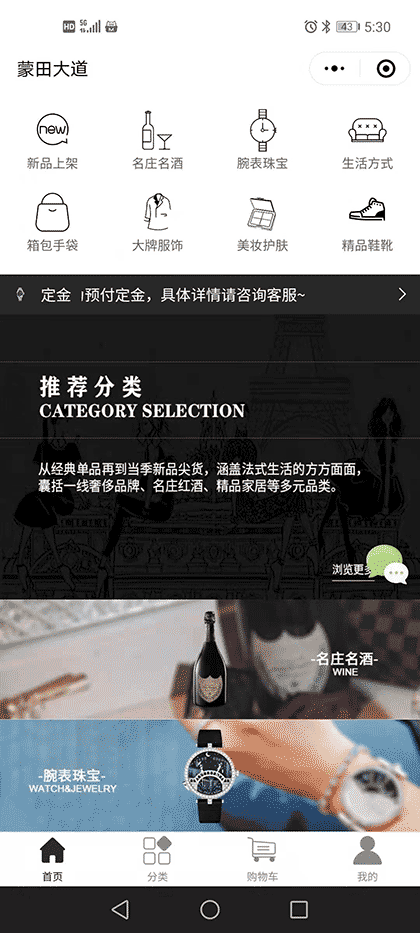蒙田大道截图1
