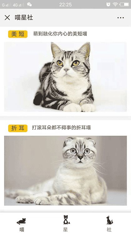 喵星社截图1
