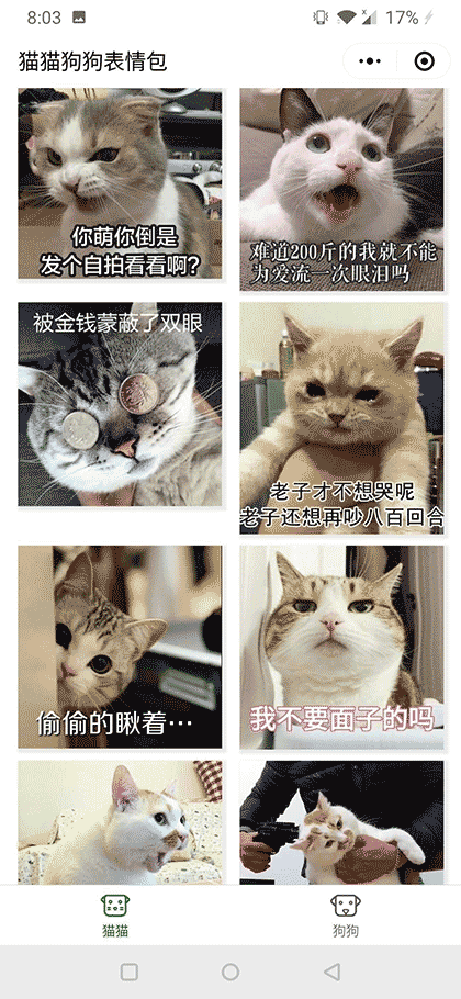 猫猫狗狗表情包截图1