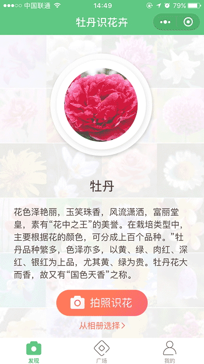 牡丹识花卉截图1