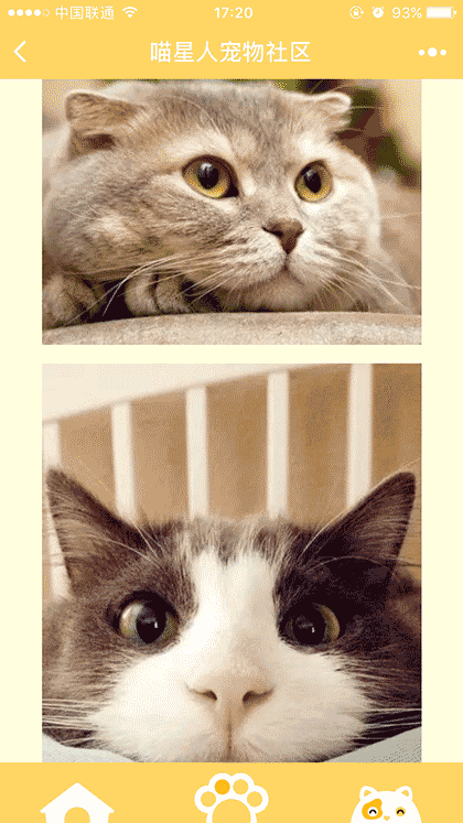 喵星人宠物社区截图2