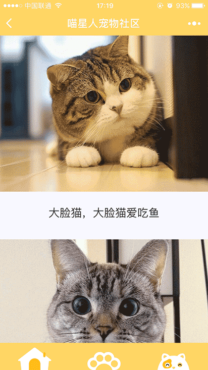 喵星人宠物社区截图3