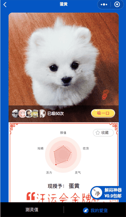 你的狗有多灵截图3