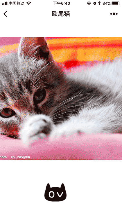 欧尾猫截图1
