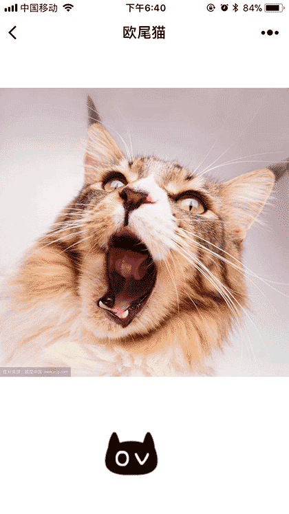 欧尾猫截图3
