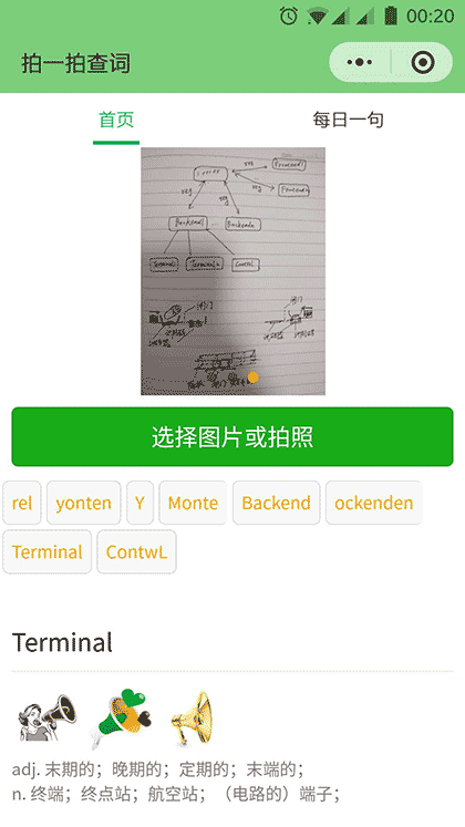 拍一拍查词截图3