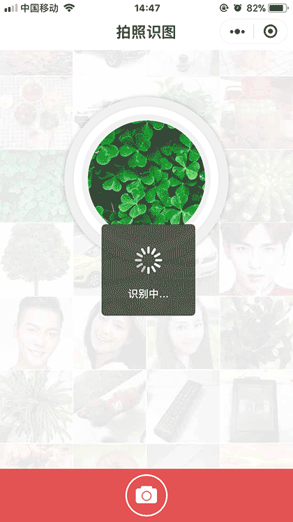 拍照识图截图1