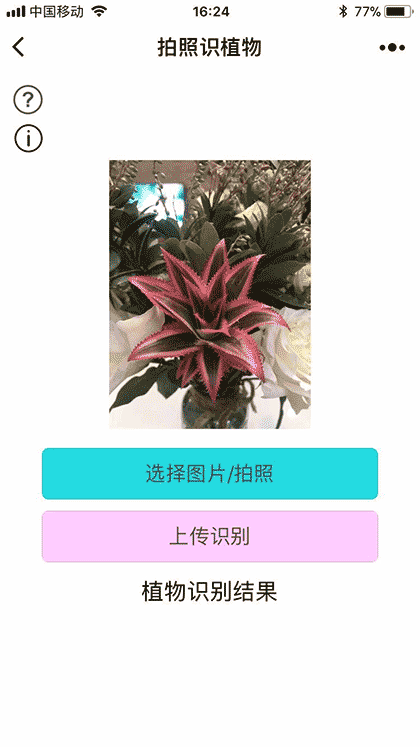 拍照识植物截图1