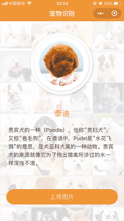 品种识别截图1