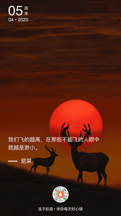 浅子影报截图1