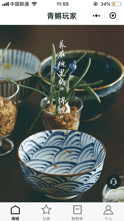 青鳉玩家截图1