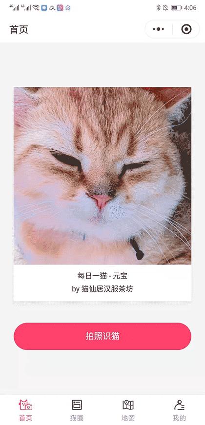 去哪撸猫截图1
