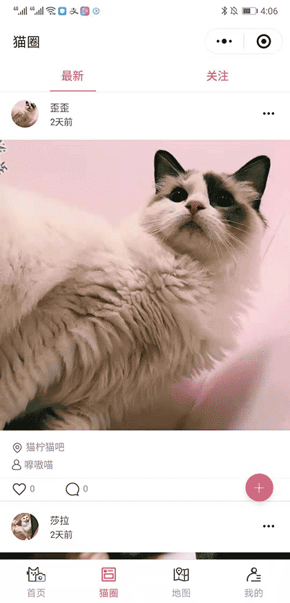 去哪撸猫截图3