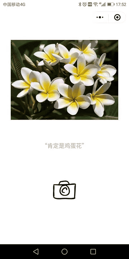 啥花截图1