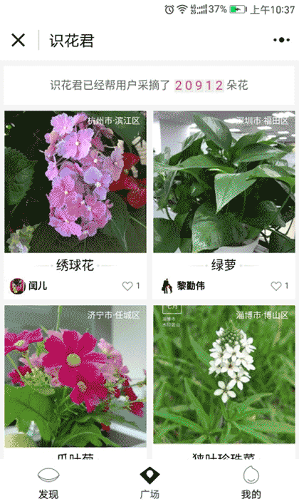识花君截图1