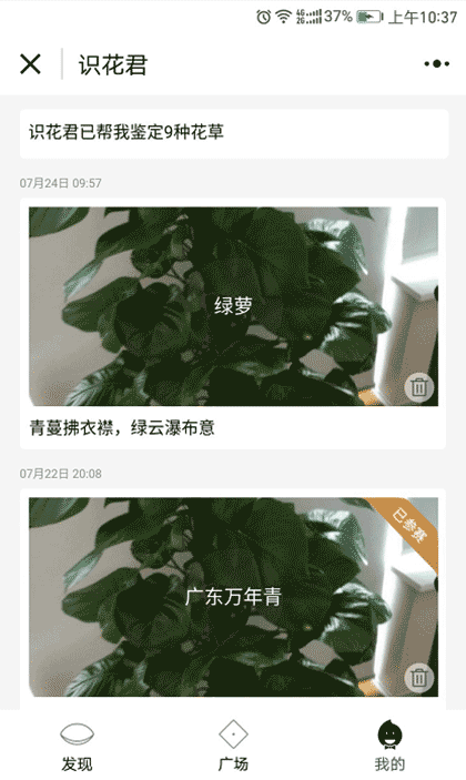 识花君截图3