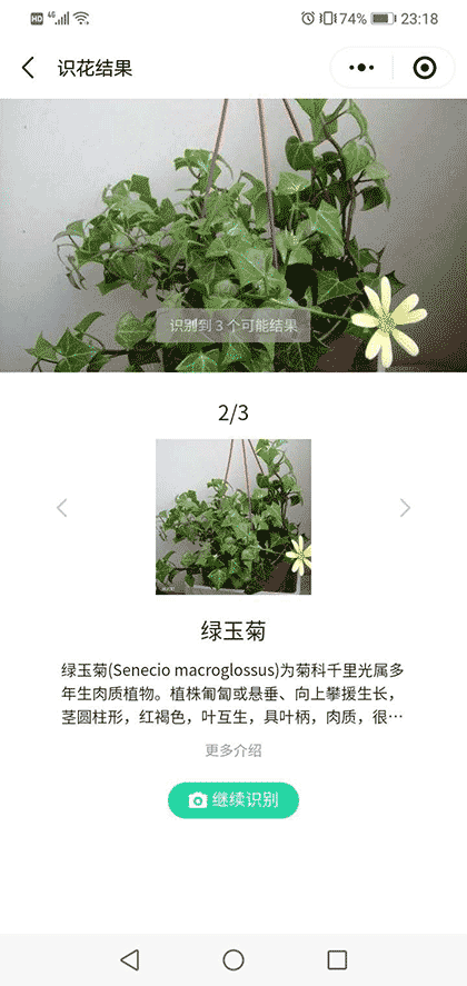 拾花趣截图1