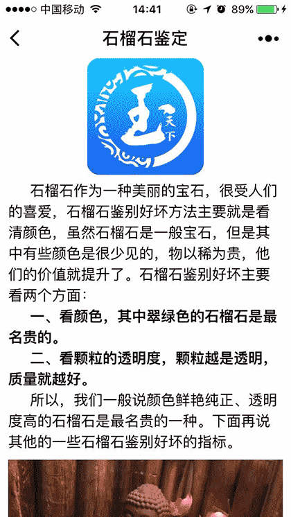 石榴石鉴定截图1