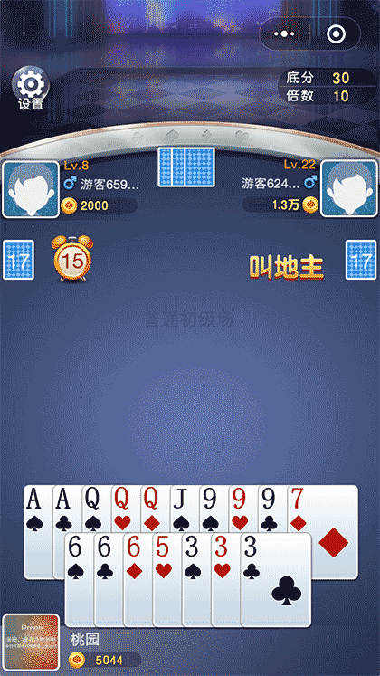 竖屏斗地主截图3