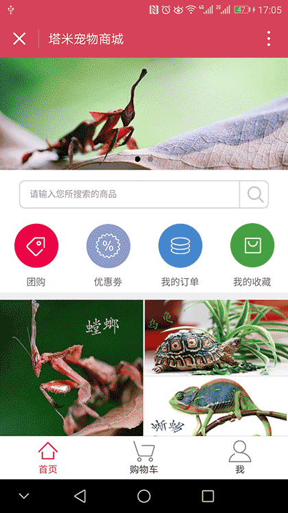 塔米宠物截图1