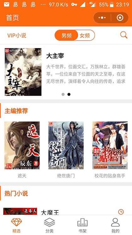 VIP小说截图1