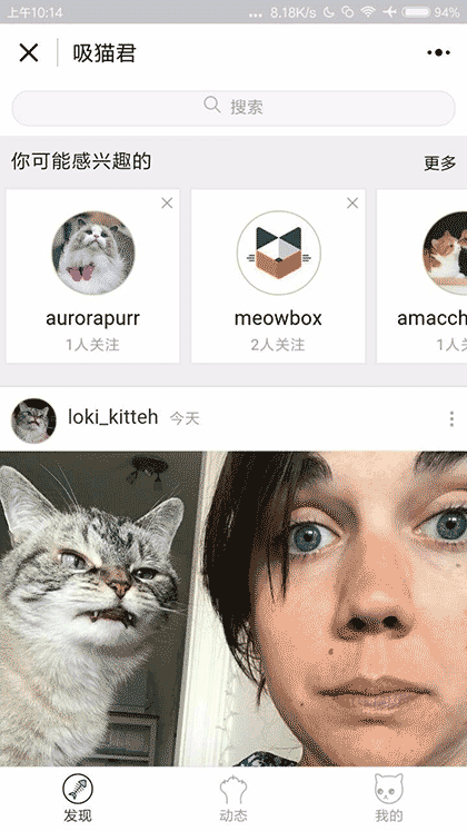 吸猫君截图3