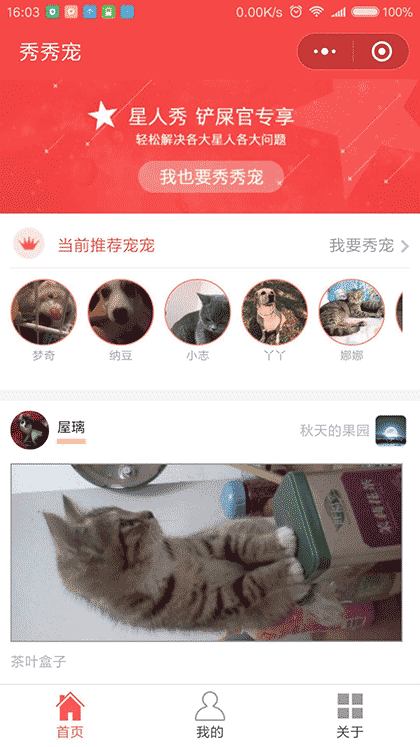 秀秀宠截图1