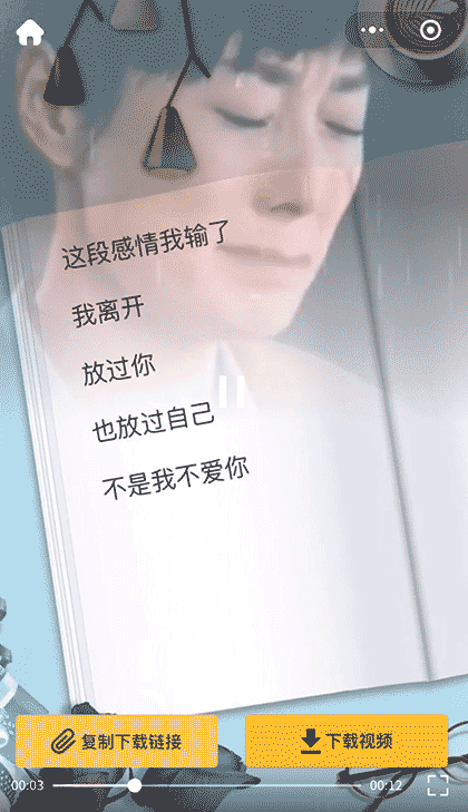 小视频解析一键去除水印截图2