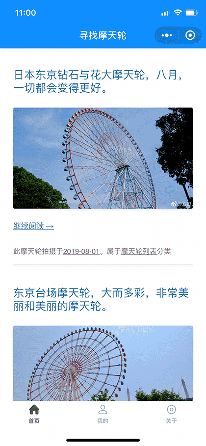 寻找摩天轮截图1