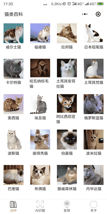 养猫小助手截图1