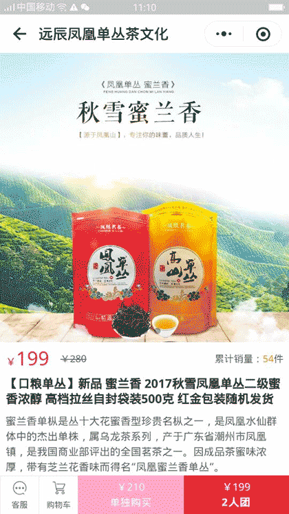 远辰凤凰单丛茶文化截图2