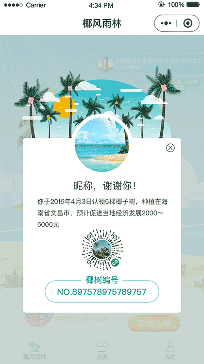 椰风雨林截图1