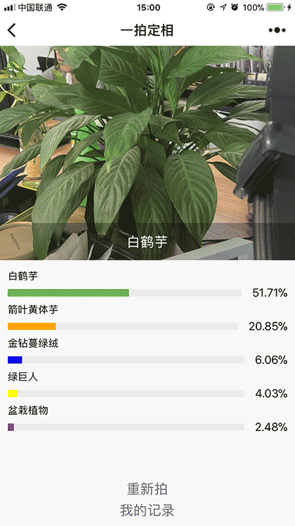 一拍定相截图3