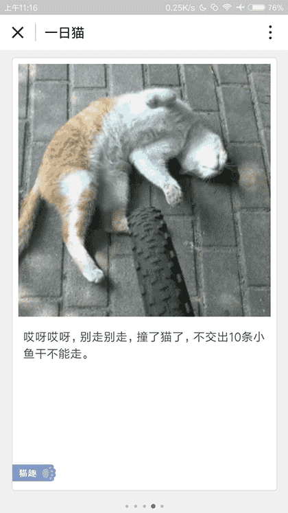 一日猫小卡片截图1