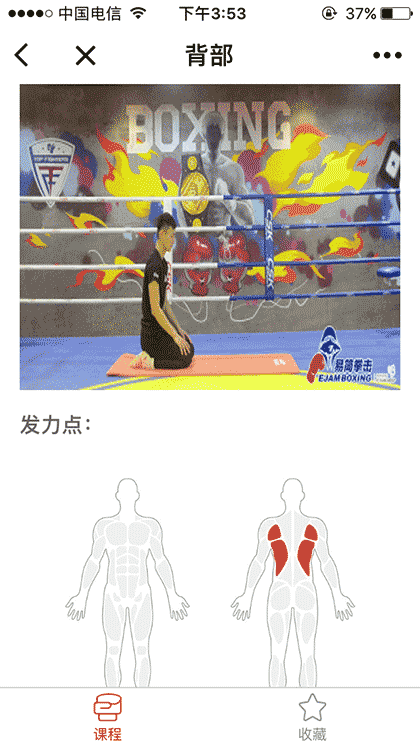 易简拳击训练计划截图3