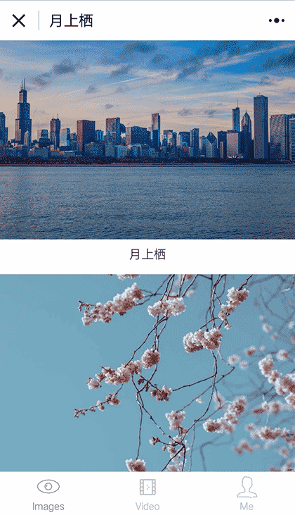 月上栖截图1