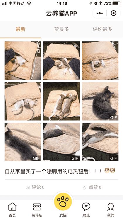 云养猫APP截图1
