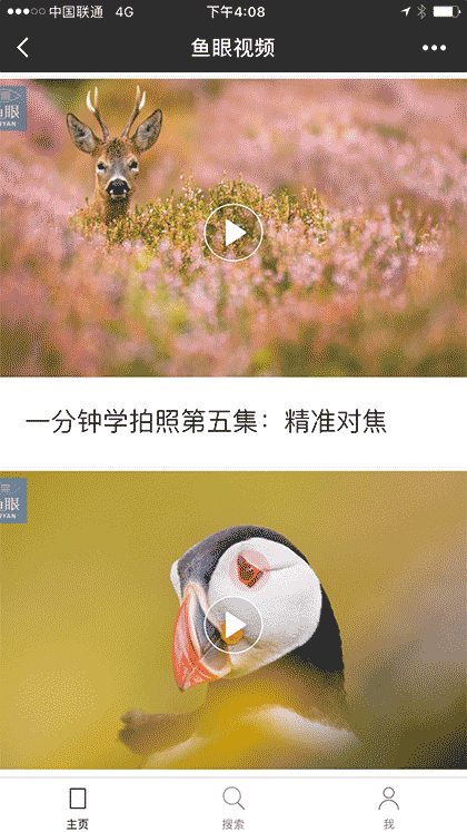 鱼眼视频V截图2