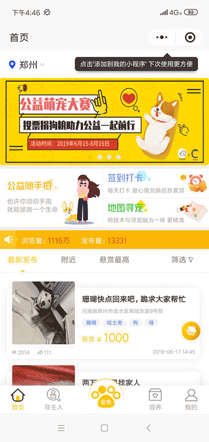 找狗寻狗截图1