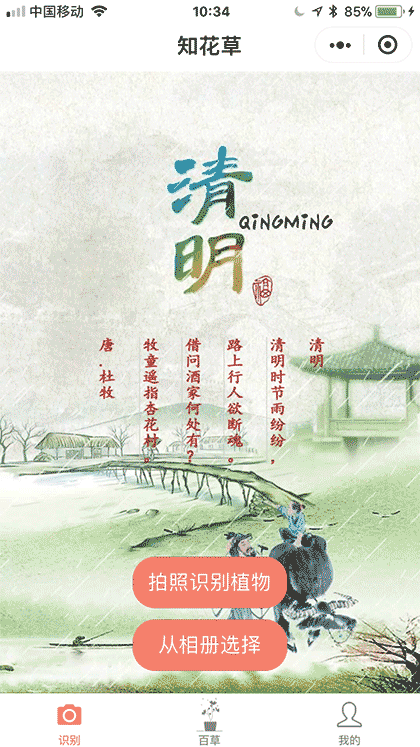 知花草截图1