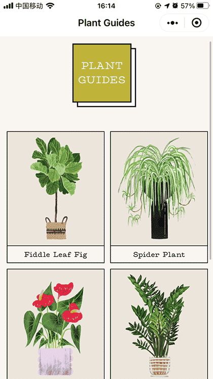 植物养护指南截图1